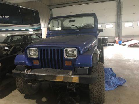 1989 Jeep Wrangler YJ for sale