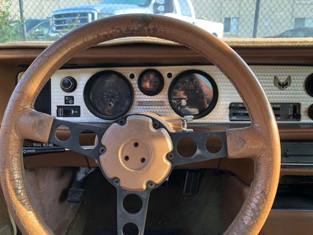 1980 Pontiac Firebird esprit