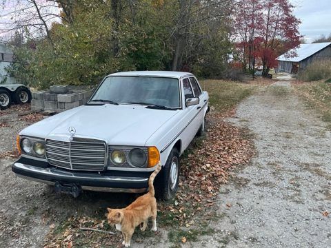 1982 Mercedes-Benz, 240d Classic. Ideal for MB Lover Looking Project for sale