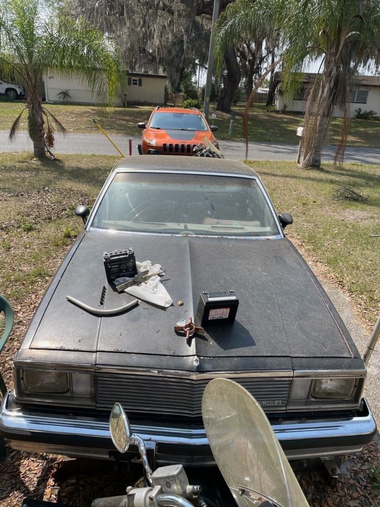 1981 Chevrolet El Camino Added Brand New Tonneau Cover