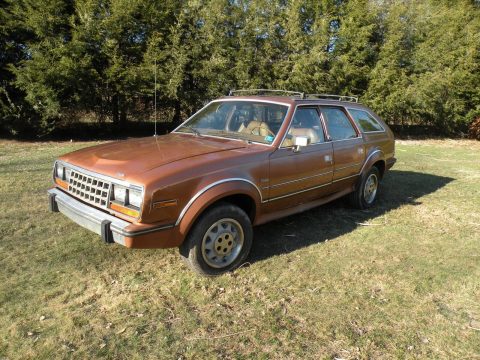 1985 AMC for sale