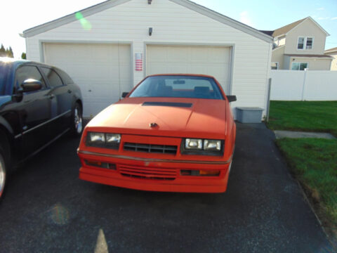 1986 Dodge Daytona TurboZ CS for sale