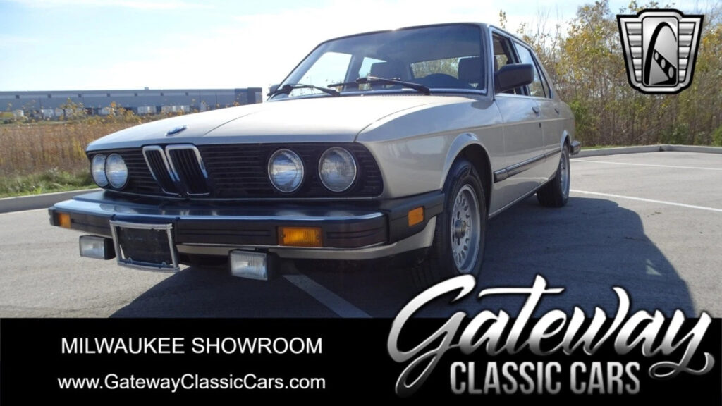 Bronzit 1988 BMW 528E Sedan 2.7L I6 5 Speed Manual