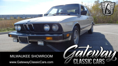 Bronzit 1988 BMW 528E Sedan 2.7L I6 5 Speed Manual for sale