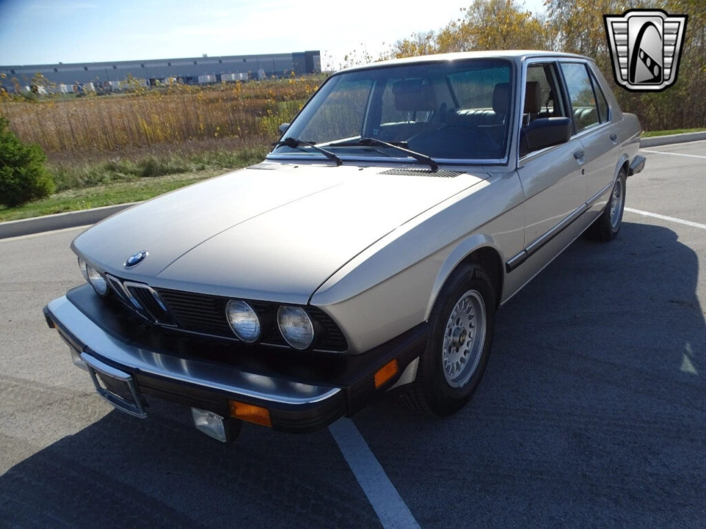Bronzit 1988 BMW 528E Sedan 2.7L I6 5 Speed Manual