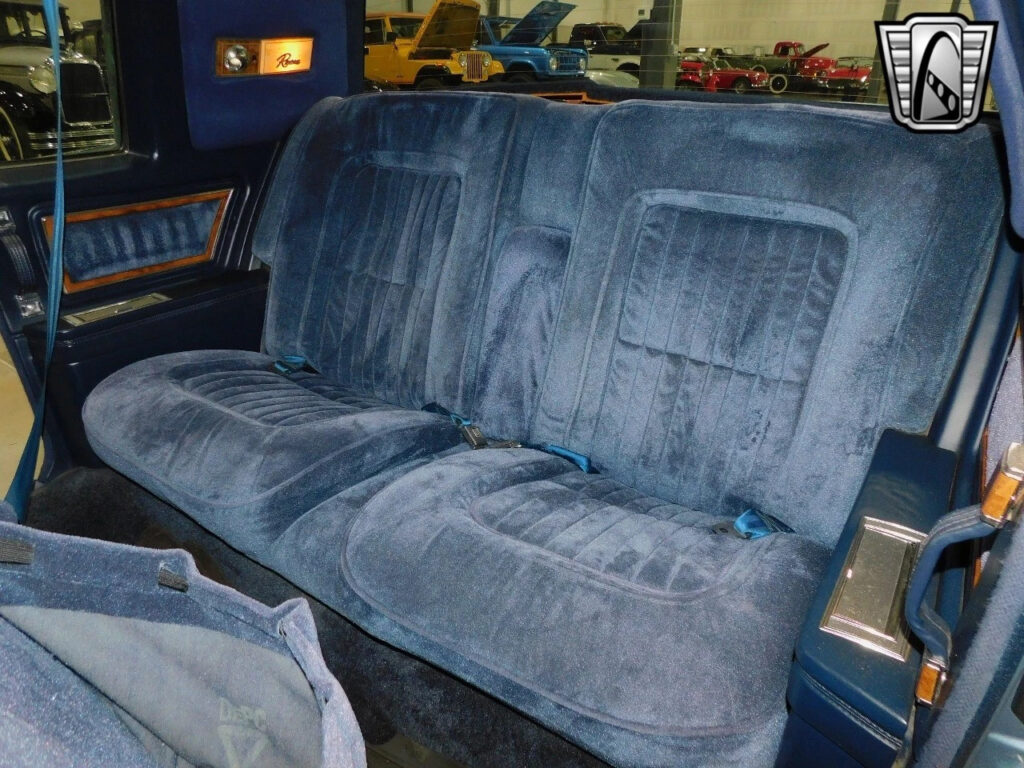 Blue 1980 Buick Riviera Coupe V8