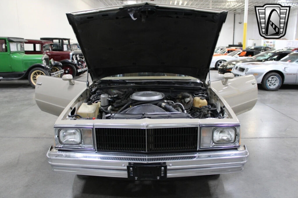 Brown 1980 Chevrolet El Camino Coupe 305 CID V8 Turbo 350
