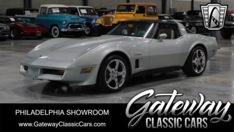 Silver 1982 Chevrolet Corvette Coupe V8 for sale